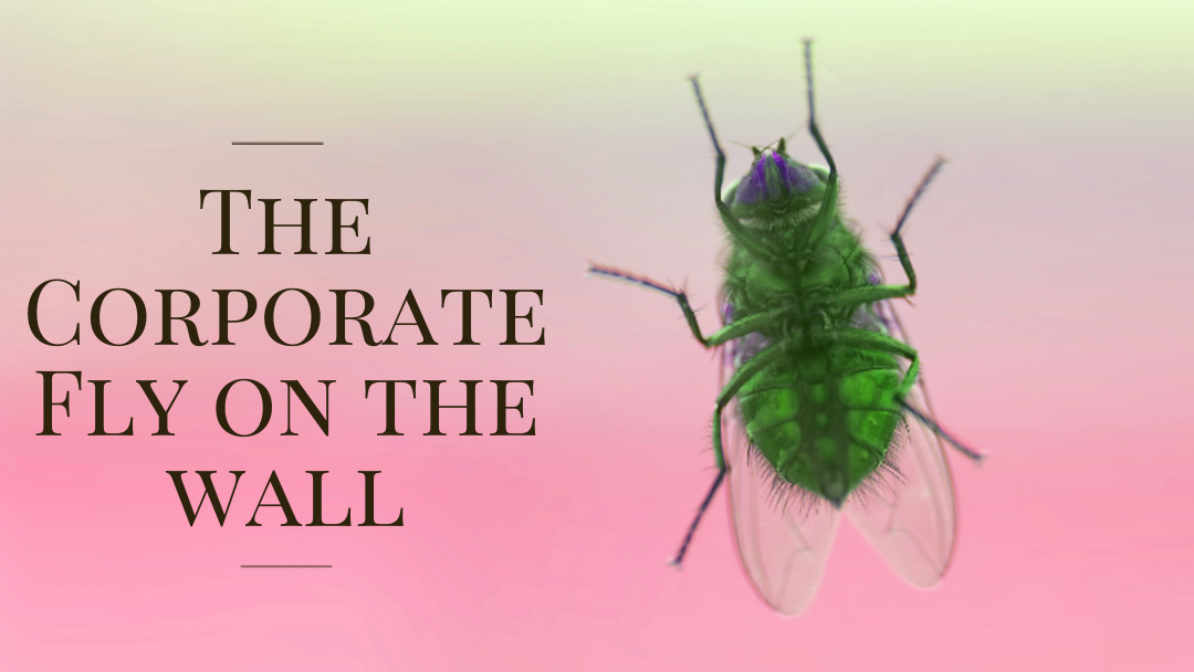 The Corporate Fly On The Wall